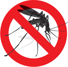 Stop Malaria in Thailand