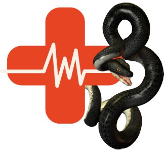 Facts About Snakebite Treatment